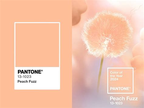 染紅頭髮|2024 染髮髮色 12 款推薦！Pantone 柔和桃、顯白紅色。